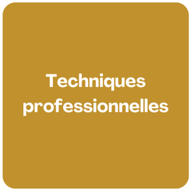 Techniques professionnelles